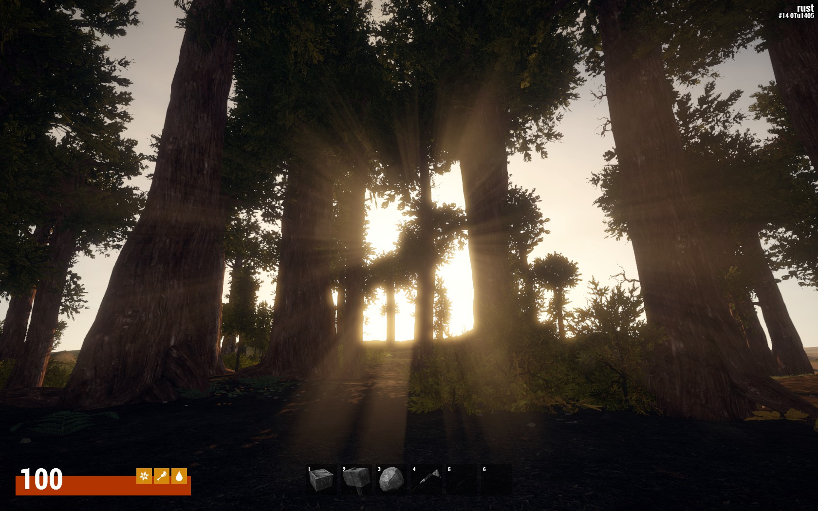 Rust или forest фото 85
