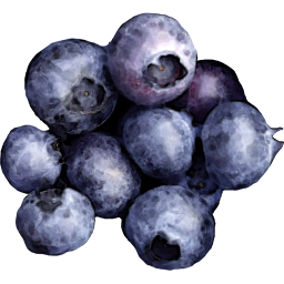 Смородина (Blueberries)