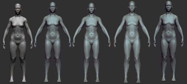 Прогресс женской модели слева направо