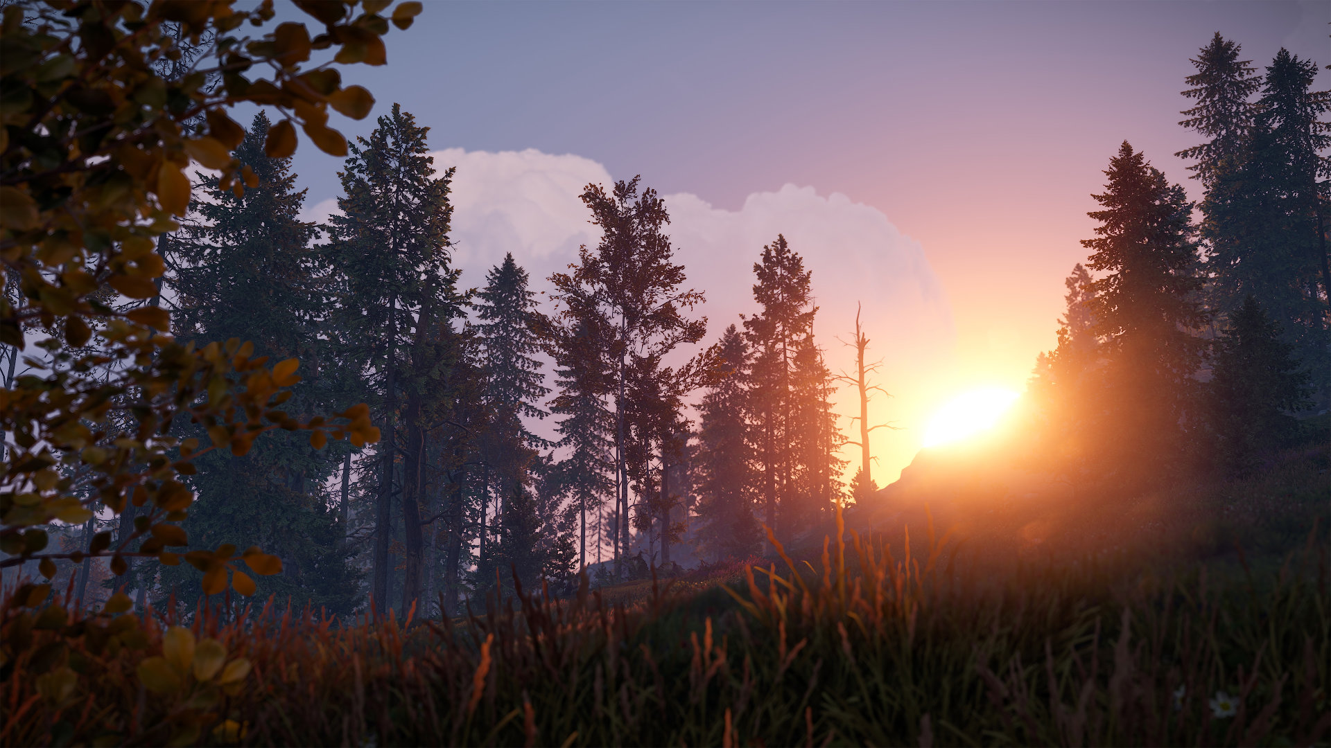 Окружение морского обновления Rust