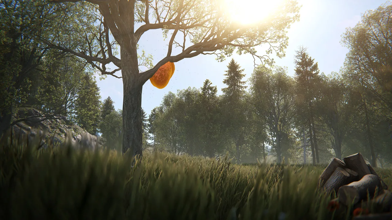 Дикий пчелиный улей на стволе дуба в лесу Rust: из таких гнёзд добывают первые соты и ядро пчелиной семьи