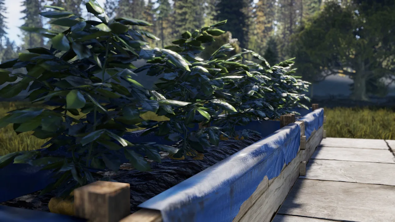 Фермерские грядки в Rust с подросшими растениями и поливом — база сельскохозяйственного контура, к которому пристраивают животноводство