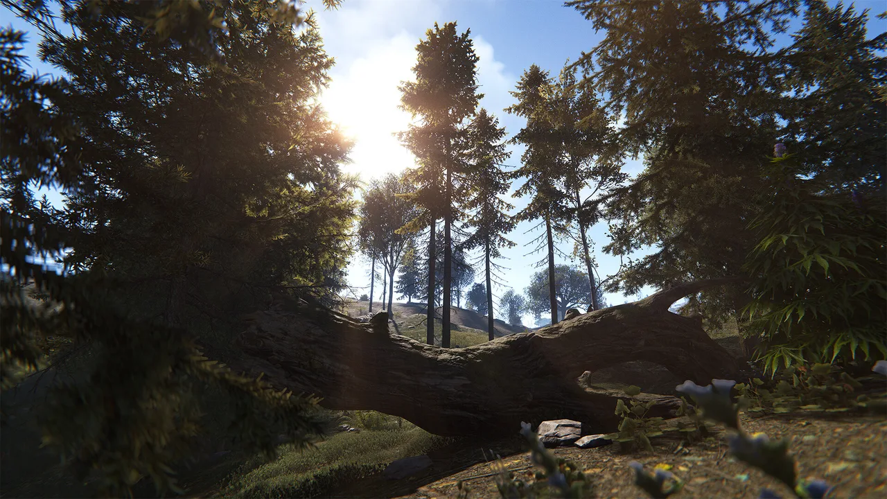 Густой хвойный лес в Rust с солнцем, пробивающимся сквозь кроны, и поваленным стволом на переднем плане — сцена, которая сильнее всего нагружает видеокарту